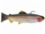 13 Fishing Coalition Baits 9" Dark Trout